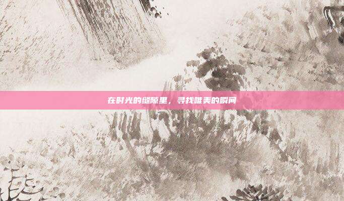 在时光的缝隙里,寻找唯美的瞬间