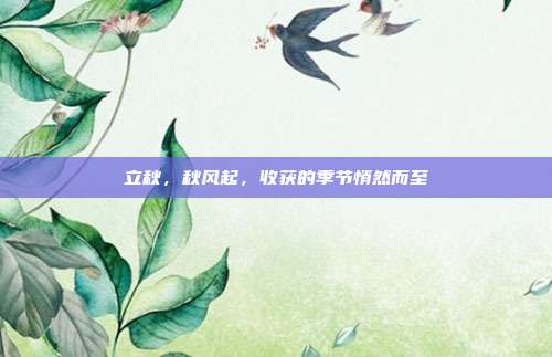 立秋,秋风起,收获的季节悄然而至