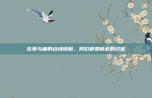 在爱与痛的边缘徘徊,我们都是彼此的过客