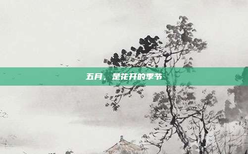 五月，是花开的季节