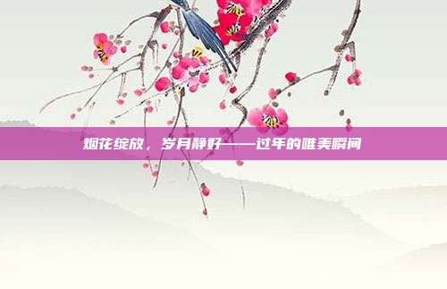 烟花绽放,岁月静好——过年的唯美瞬间