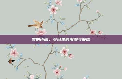 雪的诗篇，冬日里的浪漫与静谧