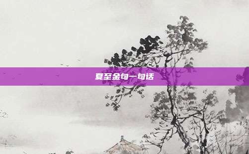 夏至金句一句话
