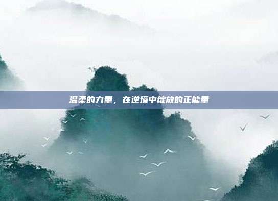 温柔的力量,在逆境中绽放的正能量
