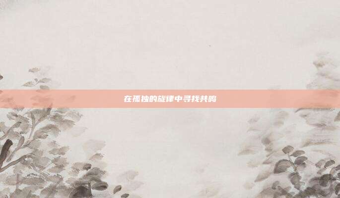 在孤独的旋律中寻找共鸣