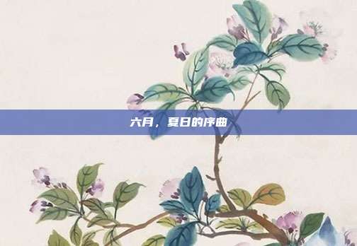 六月,夏日的序曲