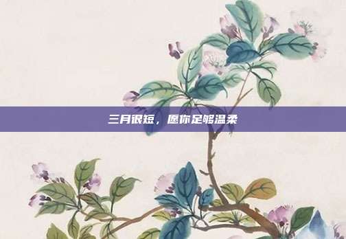 三月很短，愿你足够温柔
