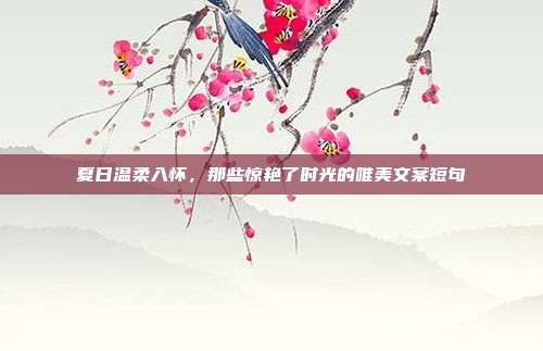 夏日温柔入怀，那些惊艳了时光的唯美文案短句