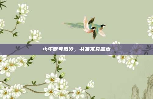 少年意气风发,书写不凡篇章