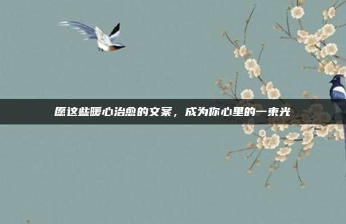 愿这些暖心治愈的文案，成为你心里的一束光