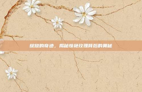 绽放的奇迹,揭秘惊艳玫瑰背后的奥秘