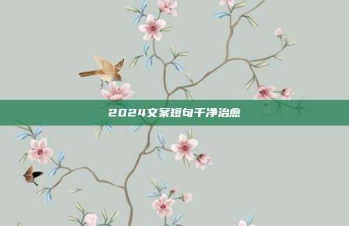 2024文案短句干净治愈