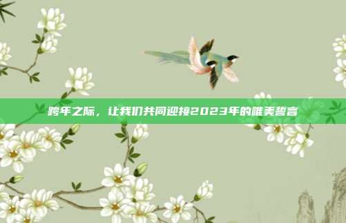 跨年之际，让我们共同迎接2023年的唯美誓言