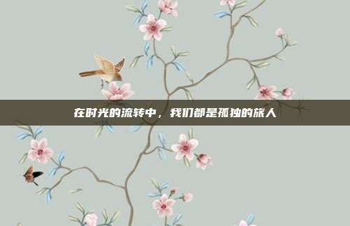 在时光的流转中,我们都是孤独的旅人