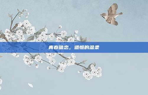 青春暗恋,遗憾的温柔