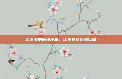 圣诞节的浪漫序曲,让爱在冬日里绽放