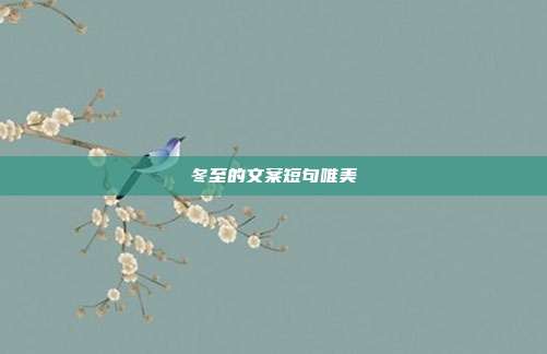 冬至的文案短句唯美