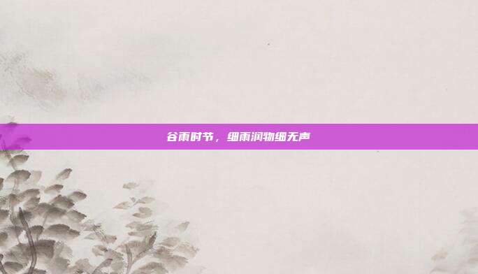 谷雨时节，细雨润物细无声