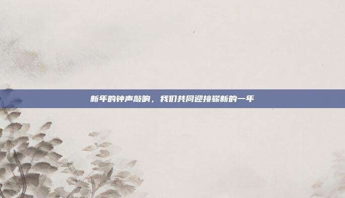 新年的钟声敲响,我们共同迎接崭新的一年
