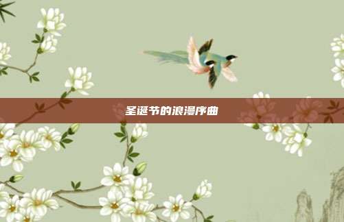 圣诞节的浪漫序曲