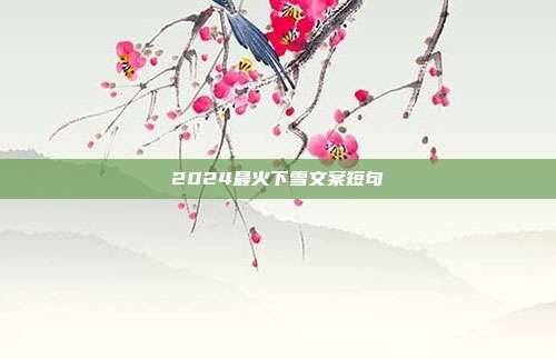 2024最火下雪文案短句