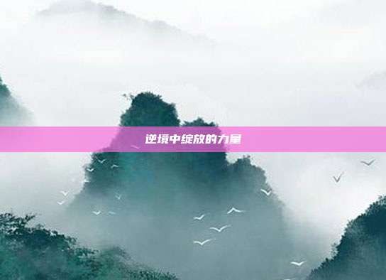 逆境中绽放的力量