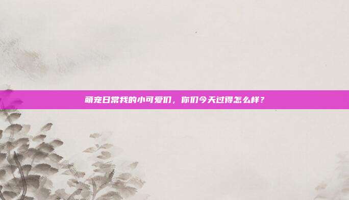 萌宠日常我的小可爱们,你们今天过得怎么样?