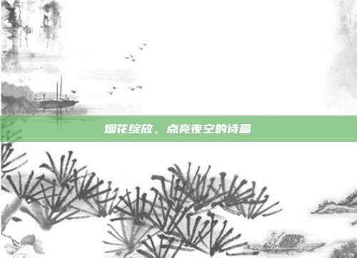烟花绽放,点亮夜空的诗篇