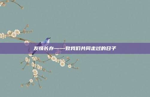 友情长存——致我们共同走过的日子