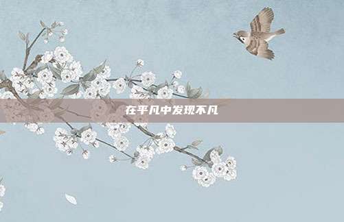 在平凡中发现不凡