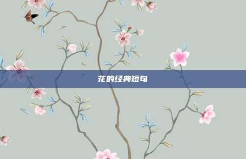 花的经典短句