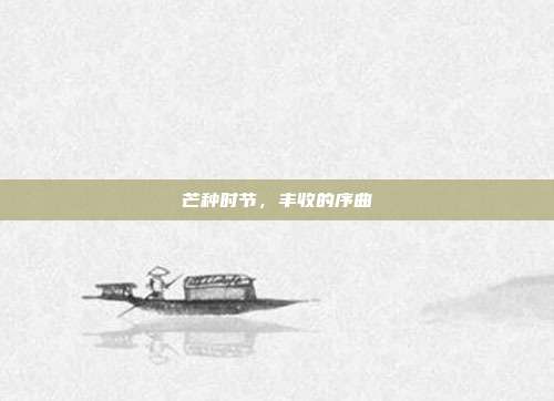 芒种时节，丰收的序曲