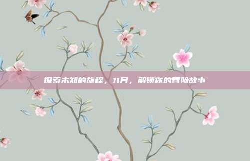 探索未知的旅程，11月，解锁你的冒险故事