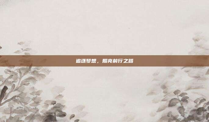 追逐梦想，照亮前行之路