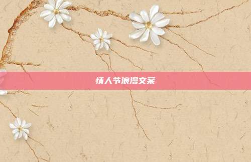 情人节浪漫文案