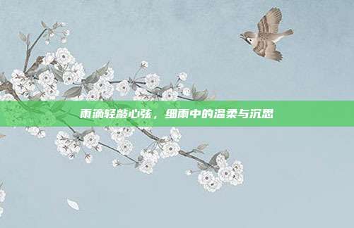 雨滴轻敲心弦，细雨中的温柔与沉思