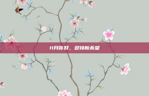 11月你好，迎接新希望