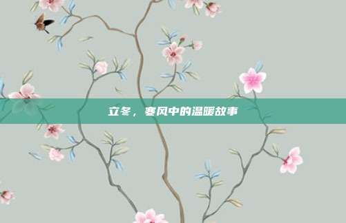 立冬，寒风中的温暖故事