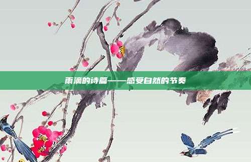 雨滴的诗篇——感受自然的节奏
