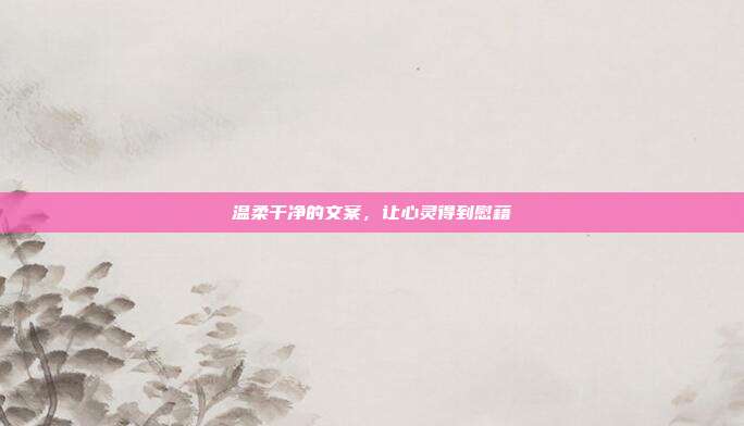 温柔干净的文案，让心灵得到慰藉