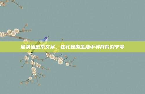 温柔治愈系文案，在忙碌的生活中寻找片刻宁静