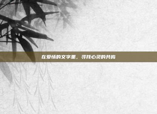 在爱情的文字里，寻找心灵的共鸣