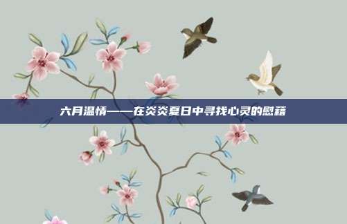 六月温情——在炎炎夏日中寻找心灵的慰藉