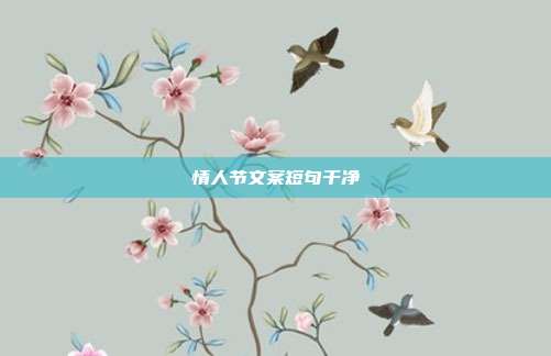 情人节文案短句干净