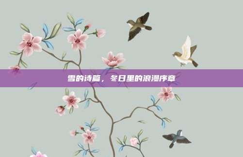 雪的诗篇，冬日里的浪漫序章