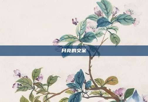 月亮的文案