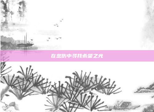 在悲伤中寻找希望之光