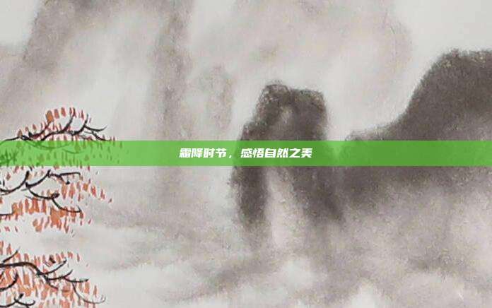 霜降时节，感悟自然之美