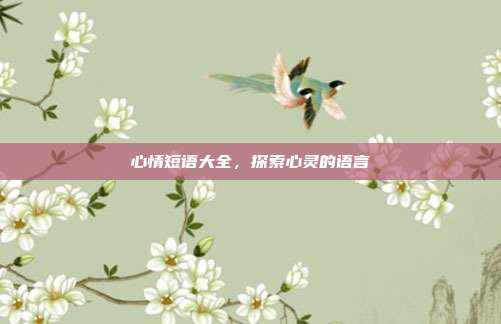 心情短语大全，探索心灵的语言