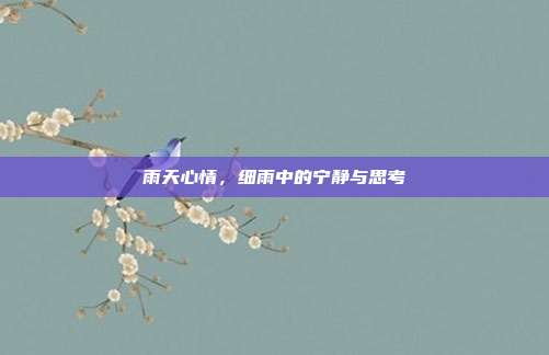 雨天心情，细雨中的宁静与思考